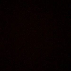 Meet your Posher, Daija